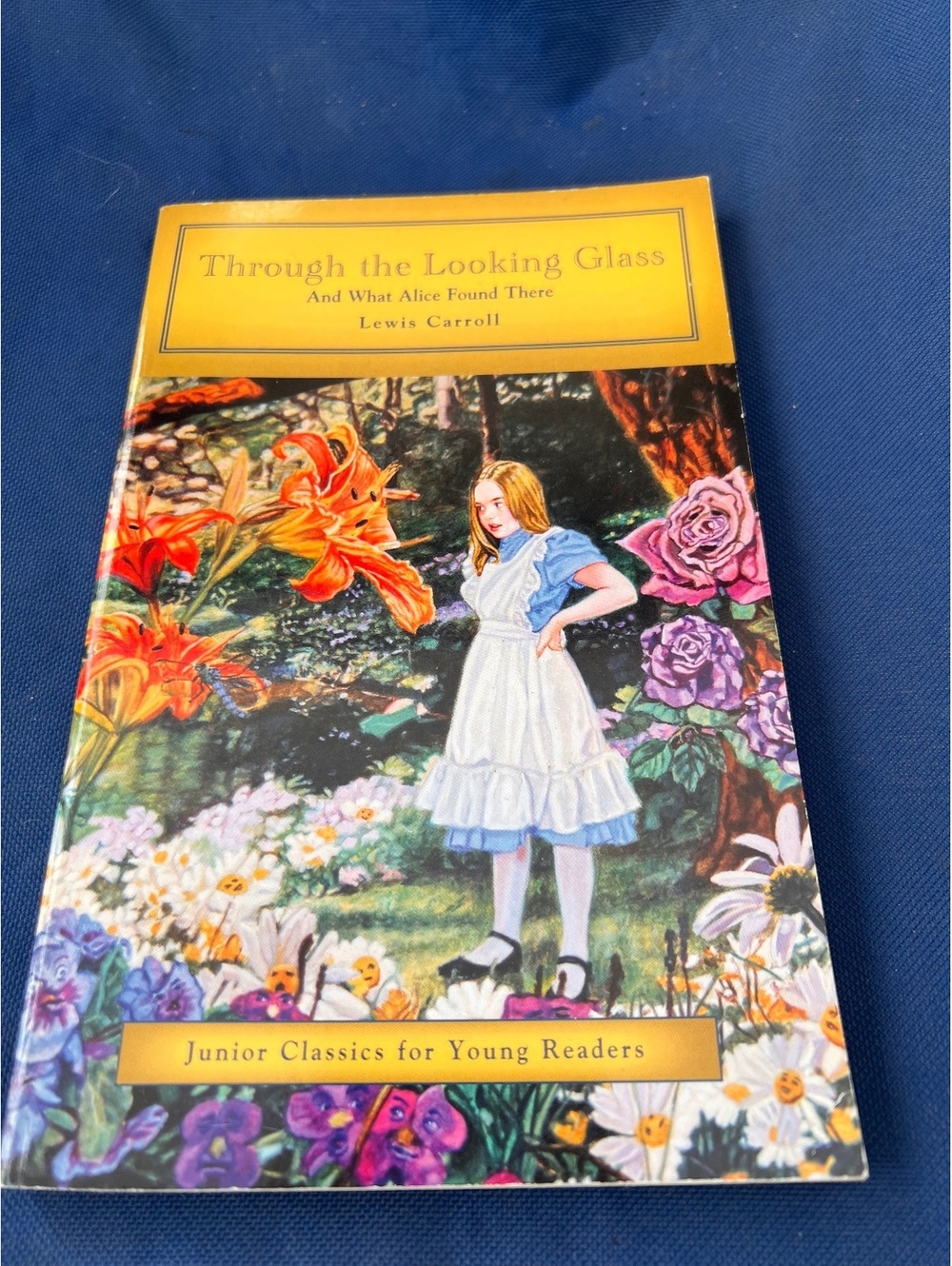 Through the Looking Glass and What Alice Found There - Junior Classics for Young